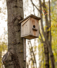 Birdhouse on a tree in the spring