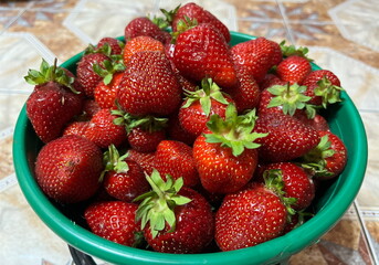 Summer ripe and sweet berry, strawberry. Strawberry in the bucket