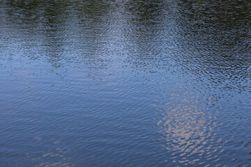 Lakes in the summer forest, water texture, summer