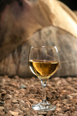 a glass of white wine in a wine cellar
