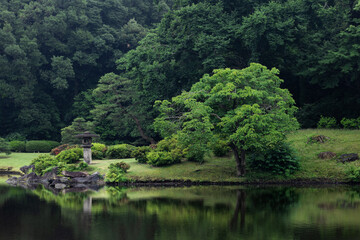 Fototapeta na wymiar 雨の日の日本庭園　6月　六義園