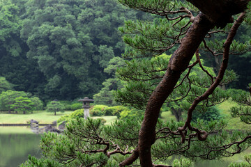 雨の日の日本庭園　6月　六義園