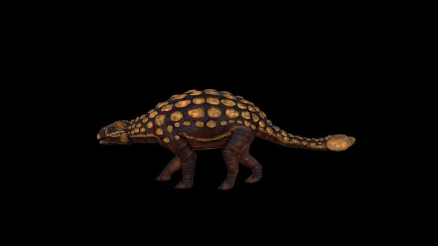 Dinosaur Ankylosaurus Walk Full HD 1920&times;1080.6 Second Long.Transparent Alpha video.LOOP.