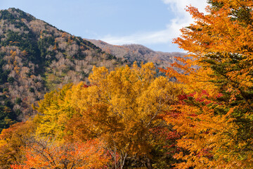 Fototapeta premium Beautiful scenery landscape at autumn season