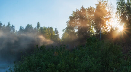 morning summer sun shines through forest and fog on the lake