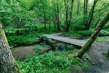 Walking path Grejs Valley natural reserve near Vejle, Denmark