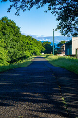 多摩川のサイクリングロード　初夏