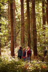 Fototapeta premium Group Of Young Female Friends On Camping Holiday Hiking Through Woods And Enjoying Nature Together