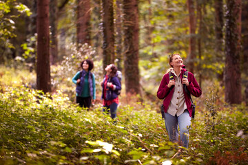 Group Of Young Female Friends On Camping Holiday Hiking Through Woods And Enjoying Nature Together