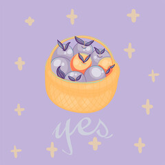 Vector layout with a stylized basket of apples and cute lettering.Hand draw. Isolated elements for summer. Invitations, stylish postcard design.