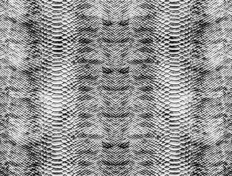 Python skin, snake pattern, animal skin

