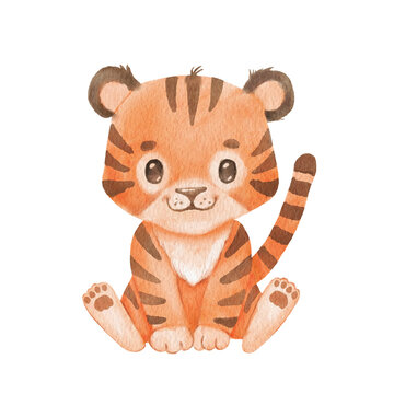 Cute portraits tiger in cartoon style. Drawing african baby wild cat isolated on white background. Jungle animal is sitting