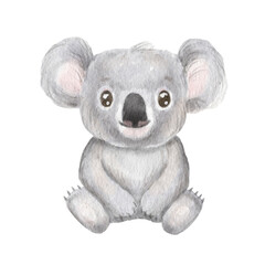 Cute portrait koala in cartoon style. Drawing australian baby isolated on white background. Jungle animal is sitting © Elena