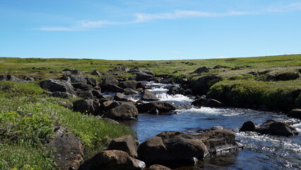 Fototapeta na wymiar Fluss in Iceland