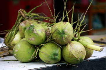  Group of fresh young coconuts from the garden
