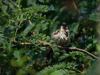 Sunbath after take abath