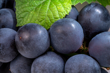 Close up shot Kyoho Grape with leaves on white, Black Wine grape Kyoho Grape with leaves.