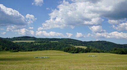 View of fences for horses, countryside, beautiful summer weather.