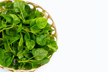Watercress isolated on white background