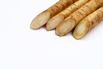 Burdock Root (Gobo) on white background.