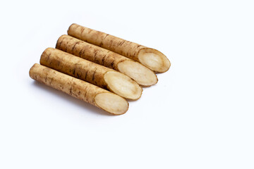 Burdock Root (Gobo) on white background.