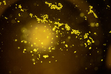 A yellow effervescent tablet dissolves in a glass of water on a black background, a nutritional supplement of vitamins.Close-up,top view