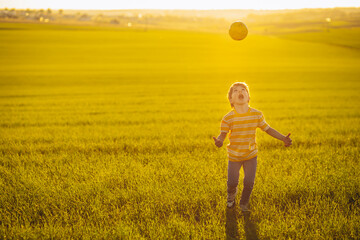 Boy with soccer ball in the meadow