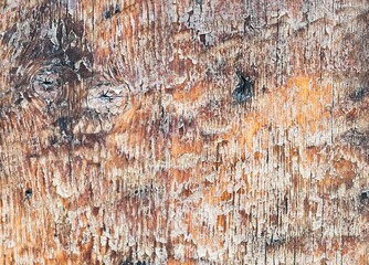 Photography of textured hardwood copy space with no people picture with structure element of a death material with black worn wholes, ugly dirty cracked rustic silver surface.