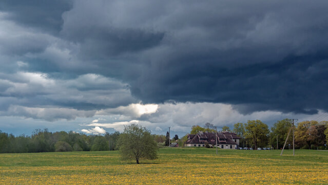 Dramatic sky with dark clouds over a field of yellow dandelions.