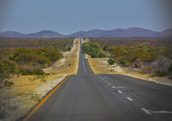 Straße durch die Savanne