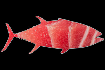 Fish-shaped tuna fillet isolated on black background. Yellow fin tuna steak background. Fresh rare...