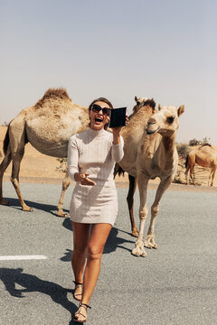 A happy beautiful girl, smiling, takes a selfie with a camel by the road during a trip to the desert, Dubai, UAE