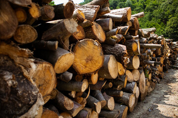 Log stack