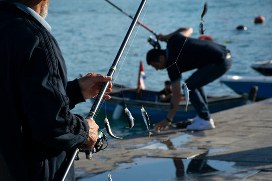 Freshly caught horse mackerel fish on a hook on a man's hand, side view.