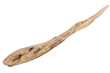 Obraz premium Piece of driftwood isolated on white