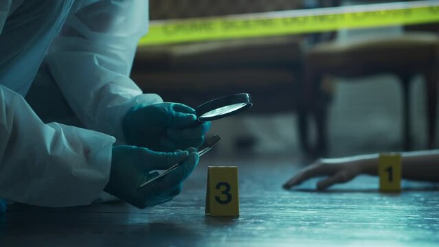 Detective Collecting Evidence in a Crime Scene. Forensic Specialists Making Expertise at Home of a Dead Person. Homicide Investigation by Police Officer.