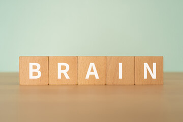 「BRAIN」と書かれたブロック
