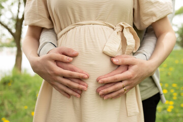 pregnant belly portrait pregnancy concept. husband hugging pregnant wife