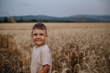 Naklejka na ściany i meble Little boy is standing in the field of wheat in summer