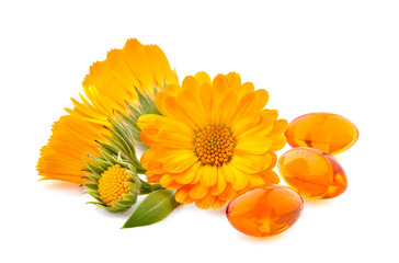 Vitamin capsules with calendula flowers.