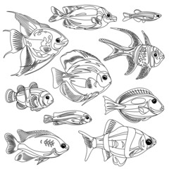 A set of linear fish isolated on a white background. Illustration of underwater life for antistress coloring book.