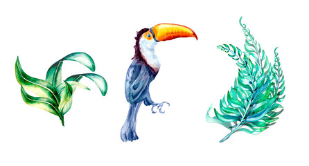 Set of toucan with palm leaves watercolor illustration on white © Ekaterina Lanbina
