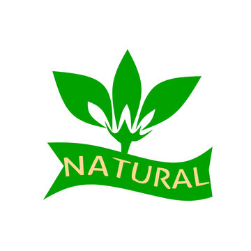 eco friendly label.Healthy food logo and fresh vegetarian food