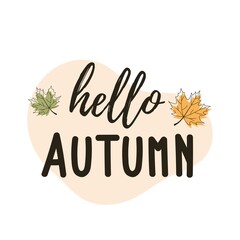 Hello Autumn. Vector hand drawn Lettering with Autumn leaves.The trend calligraphy, decorative inscription. Concept Autumn advertising.