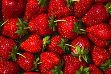 Sweet red strawberry on the green background.