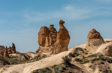 Fototapeta premium Unique fairy chimneys, volcanic rock formations like camel at Devrent Imagination Valley, Cappadocia, Turkey. Noisy and grainy texture.