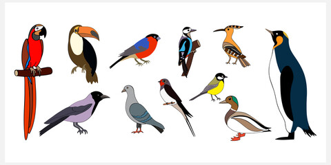 Doodle bird set clip art isolated. Hand drawn animal. Hand drawn bird. Vector stock illustration. EPS 10