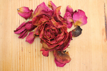 dried roses on wooden background