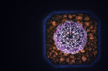 stained glass window