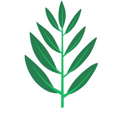 Vector element of tropical leaves, banana leaf, aesthetic leaves